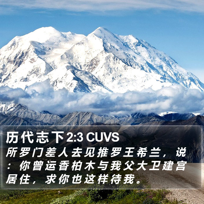 历 代 志 下 2:3 CUVS Bible Study