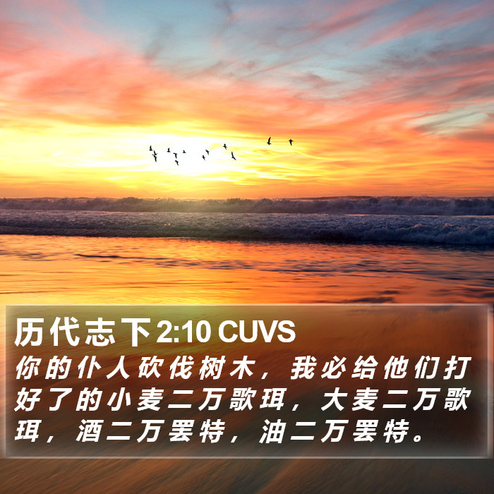历 代 志 下 2:10 CUVS Bible Study