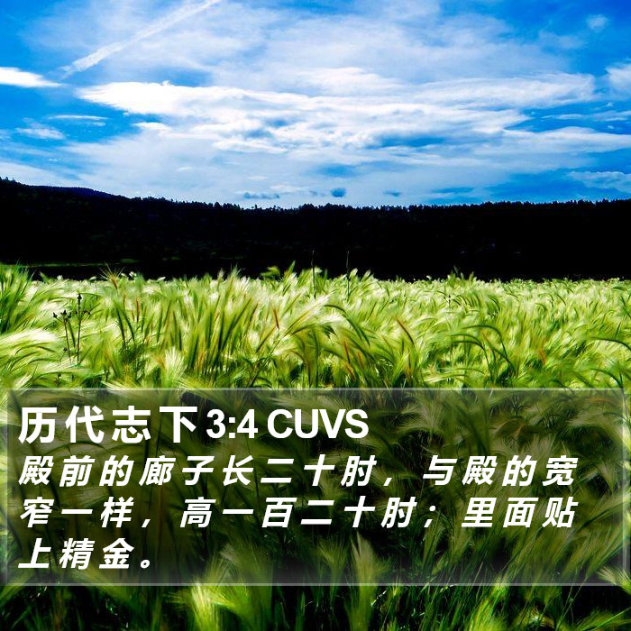 历 代 志 下 3:4 CUVS Bible Study