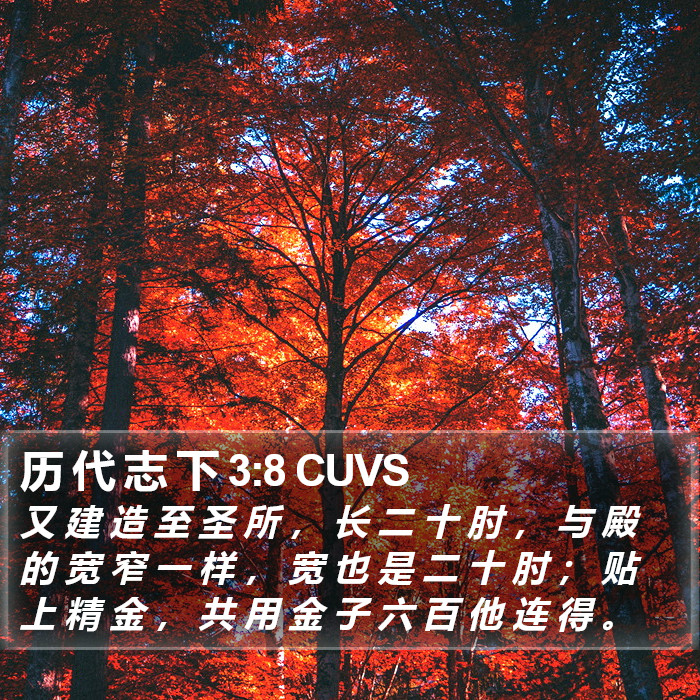 历 代 志 下 3:8 CUVS Bible Study