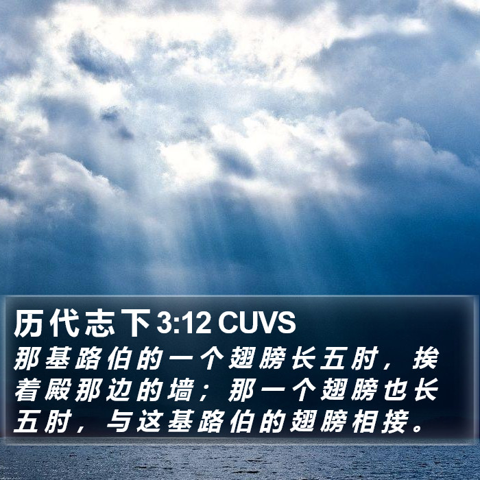 历 代 志 下 3:12 CUVS Bible Study