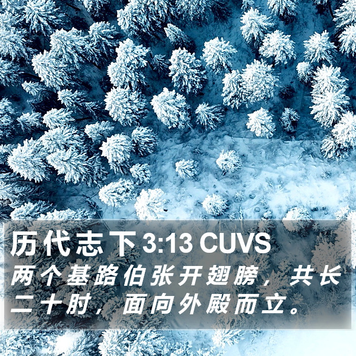 历 代 志 下 3:13 CUVS Bible Study