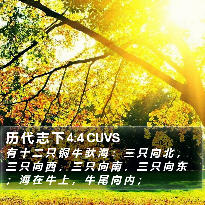 历 代 志 下 4:4 CUVS Bible Study