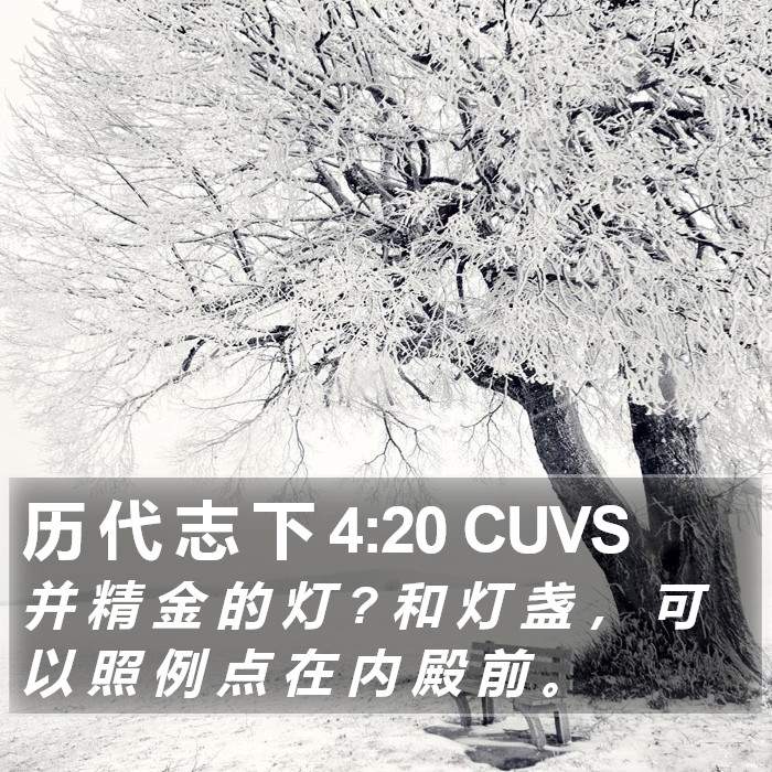 历 代 志 下 4:20 CUVS Bible Study