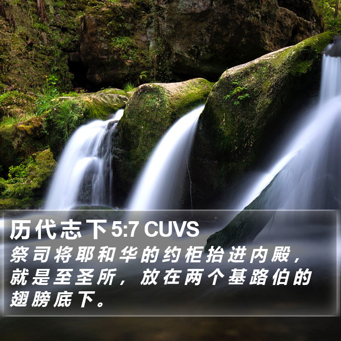 历 代 志 下 5:7 CUVS Bible Study