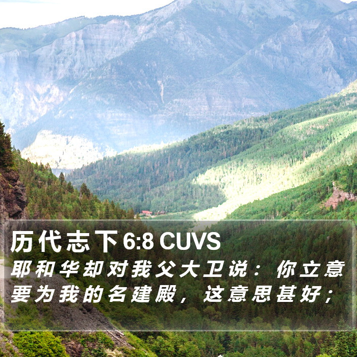 历 代 志 下 6:8 CUVS Bible Study