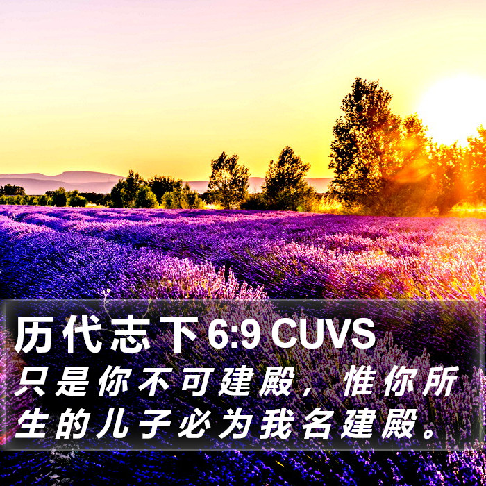历 代 志 下 6:9 CUVS Bible Study