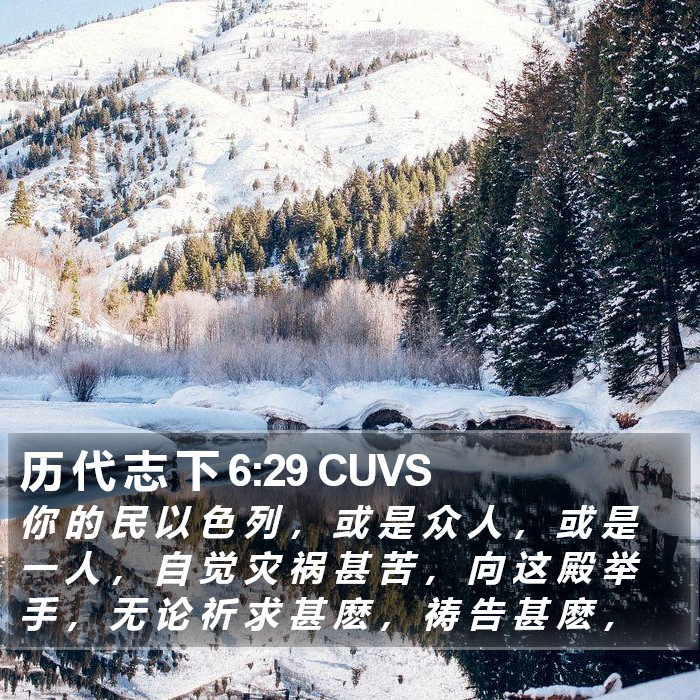 历 代 志 下 6:29 CUVS Bible Study