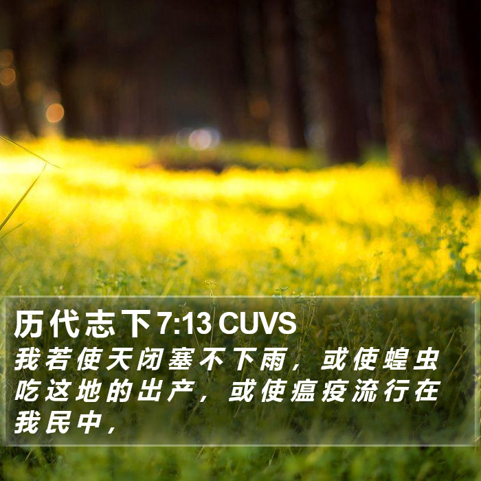 历 代 志 下 7:13 CUVS Bible Study