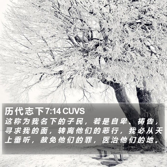 历 代 志 下 7:14 CUVS Bible Study