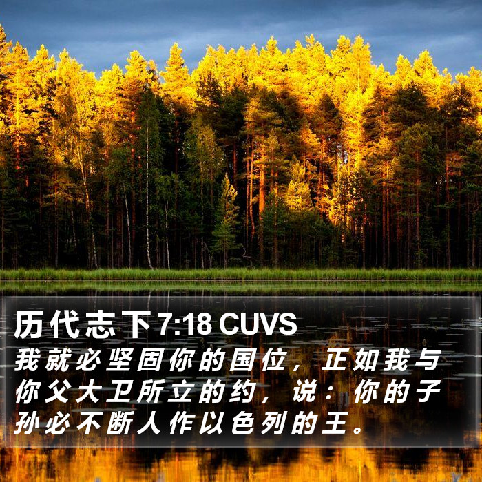 历 代 志 下 7:18 CUVS Bible Study