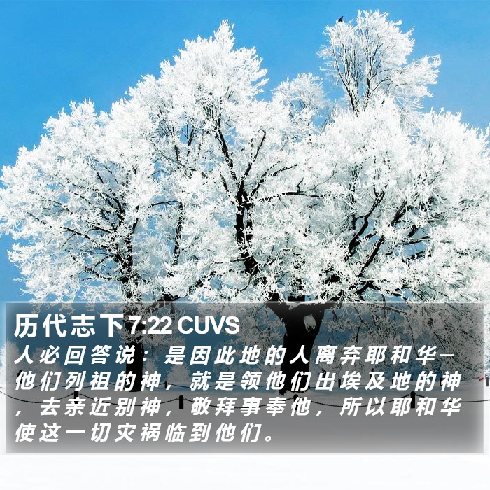 历 代 志 下 7:22 CUVS Bible Study