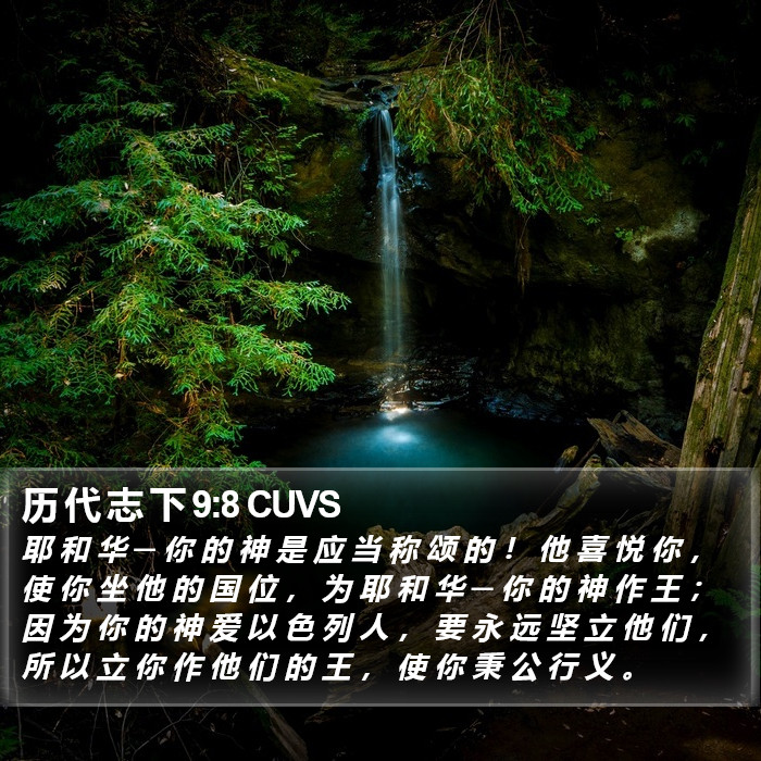 历 代 志 下 9:8 CUVS Bible Study