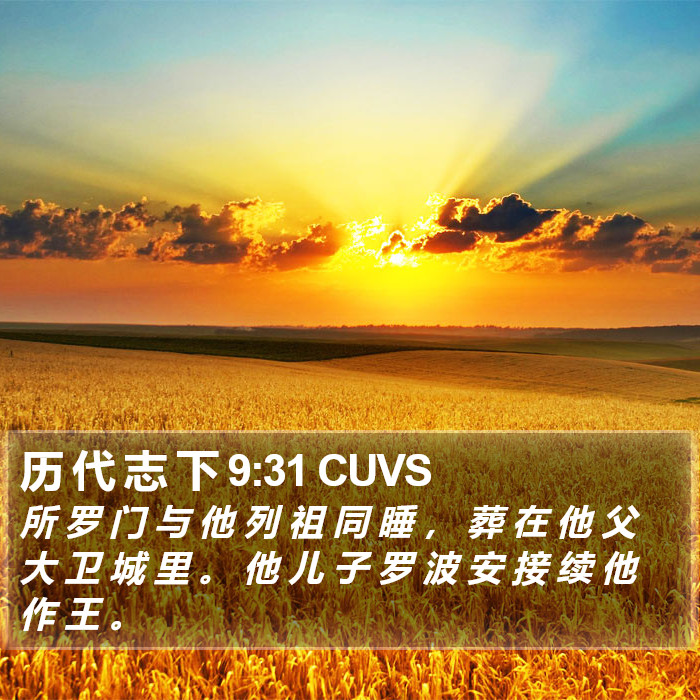 历 代 志 下 9:31 CUVS Bible Study