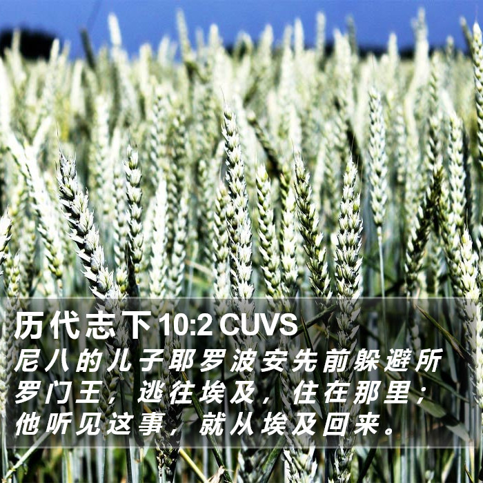 历 代 志 下 10:2 CUVS Bible Study