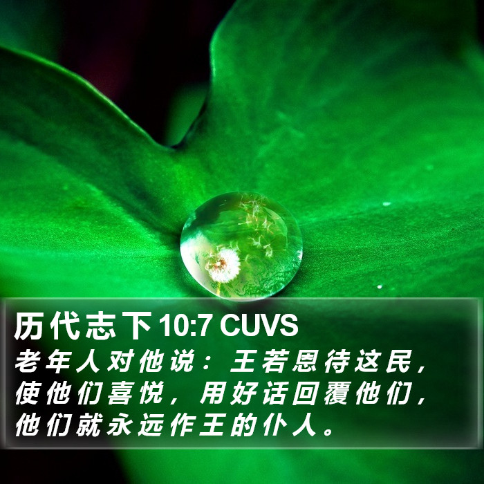 历 代 志 下 10:7 CUVS Bible Study