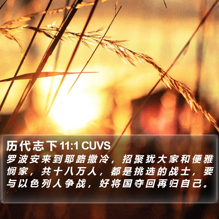 历 代 志 下 11:1 CUVS Bible Study
