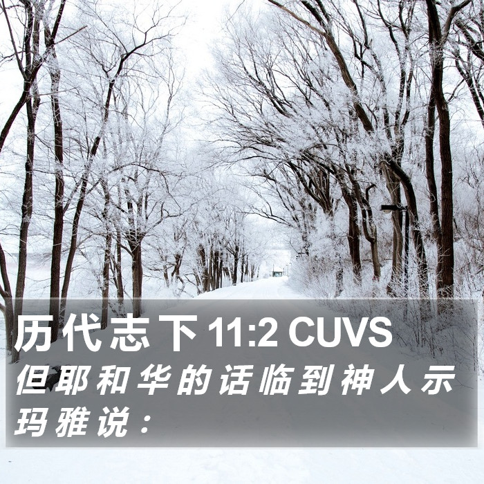 历 代 志 下 11:2 CUVS Bible Study