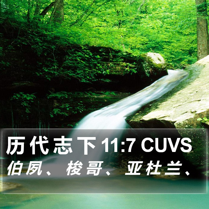 历 代 志 下 11:7 CUVS Bible Study