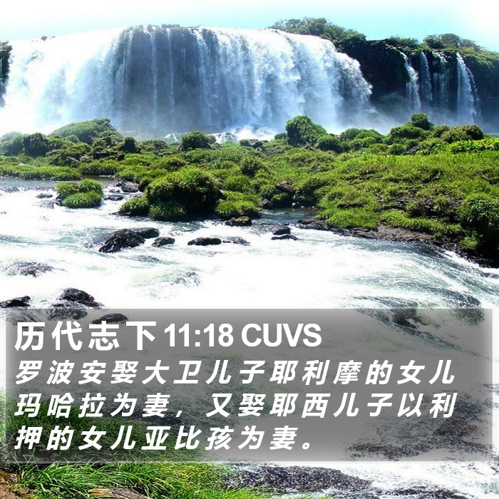 历 代 志 下 11:18 CUVS Bible Study