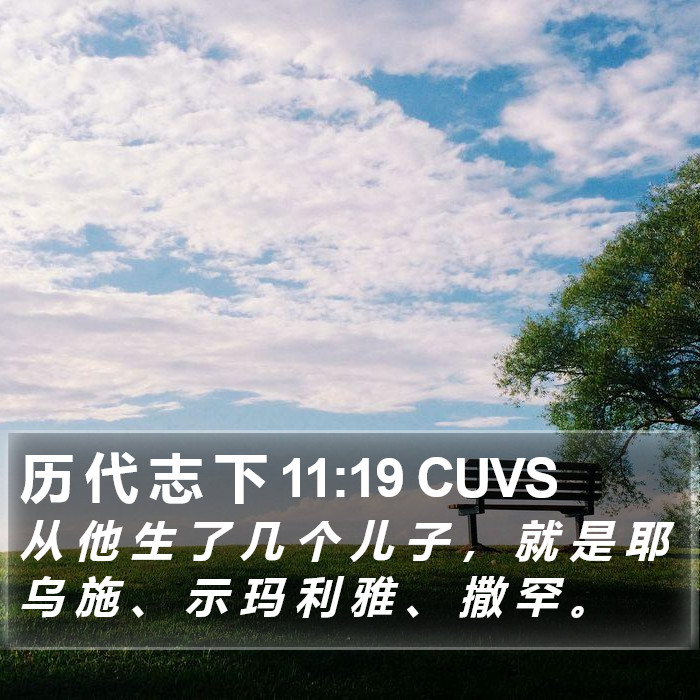 历 代 志 下 11:19 CUVS Bible Study