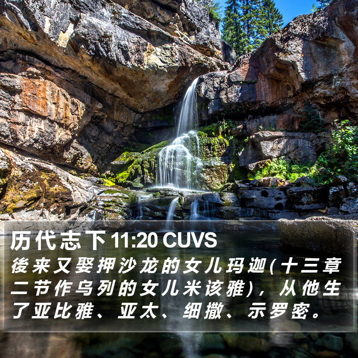 历 代 志 下 11:20 CUVS Bible Study
