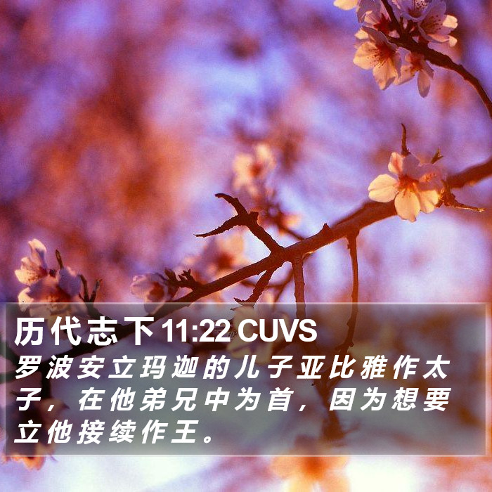 历 代 志 下 11:22 CUVS Bible Study