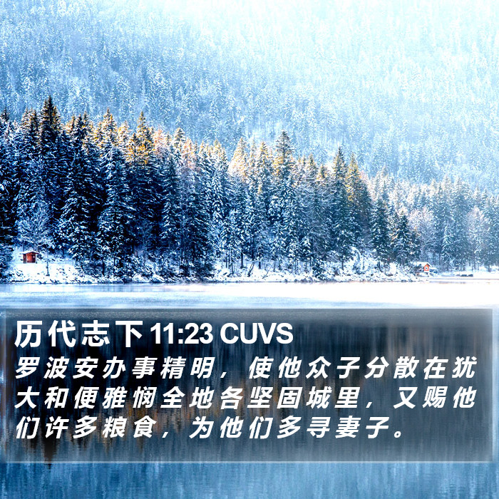 历 代 志 下 11:23 CUVS Bible Study