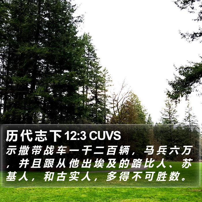 历 代 志 下 12:3 CUVS Bible Study