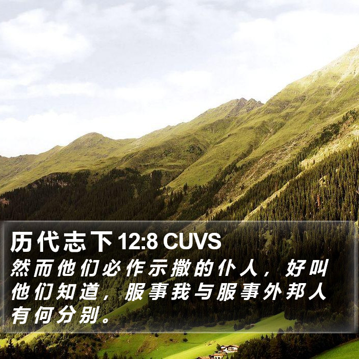 历 代 志 下 12:8 CUVS Bible Study