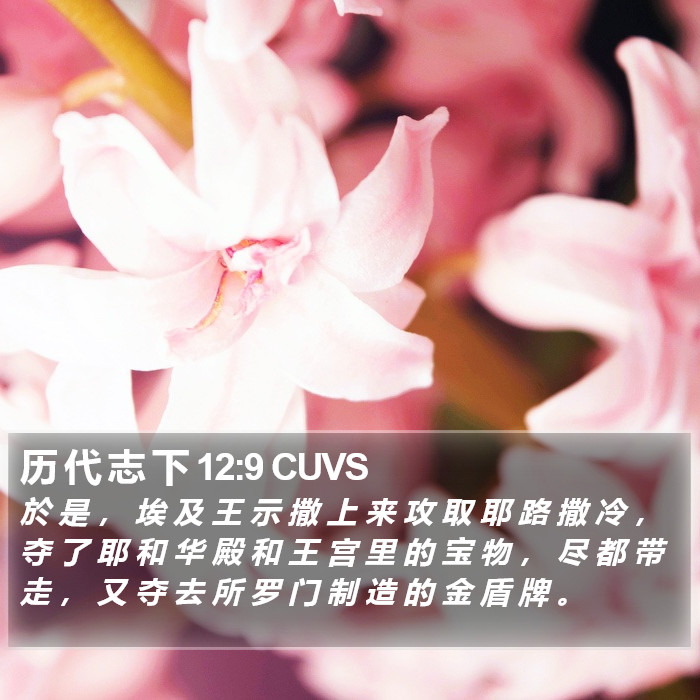历 代 志 下 12:9 CUVS Bible Study