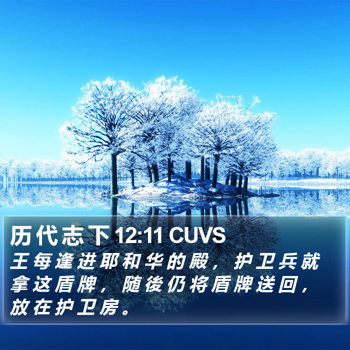 历 代 志 下 12:11 CUVS Bible Study