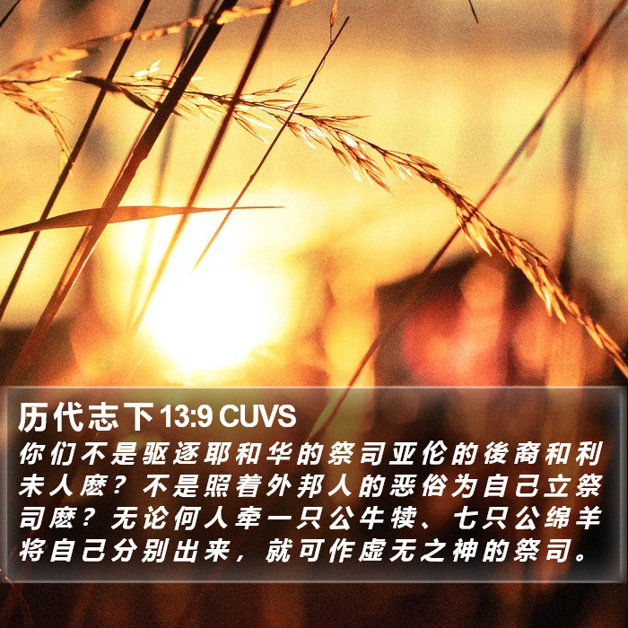 历 代 志 下 13:9 CUVS Bible Study