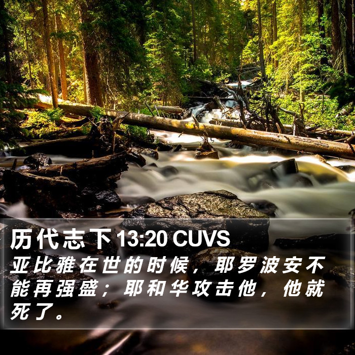 历 代 志 下 13:20 CUVS Bible Study