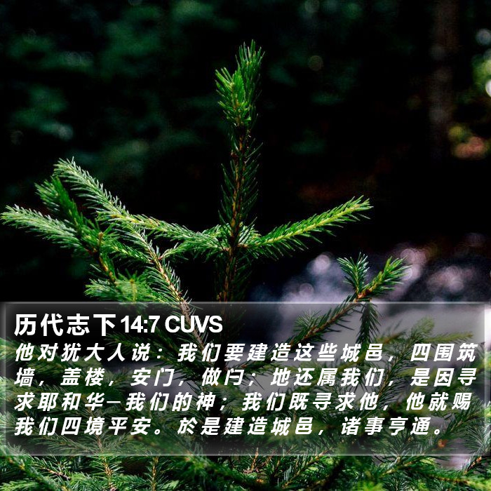 历 代 志 下 14:7 CUVS Bible Study