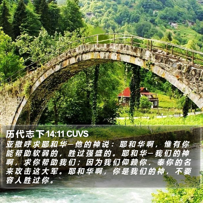 历 代 志 下 14:11 CUVS Bible Study