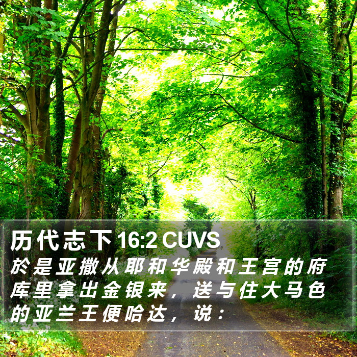 历 代 志 下 16:2 CUVS Bible Study