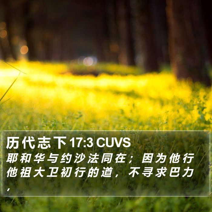 历 代 志 下 17:3 CUVS Bible Study