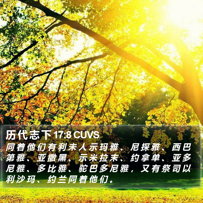 历 代 志 下 17:8 CUVS Bible Study