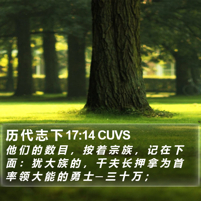 历 代 志 下 17:14 CUVS Bible Study