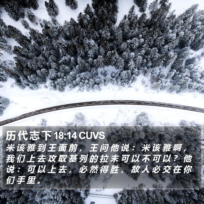 历 代 志 下 18:14 CUVS Bible Study