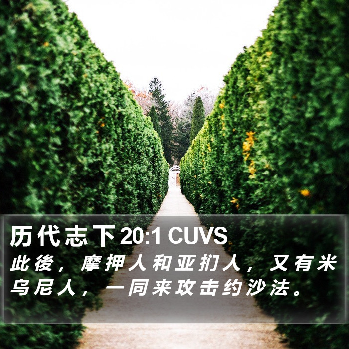 历 代 志 下 20:1 CUVS Bible Study