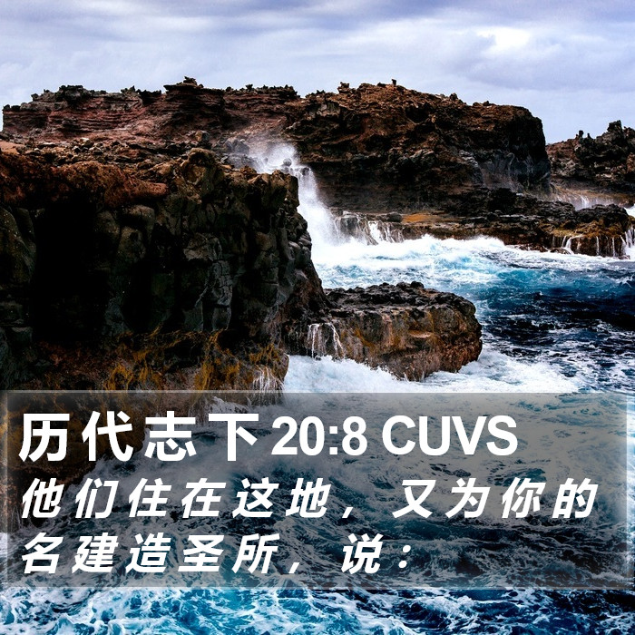 历 代 志 下 20:8 CUVS Bible Study