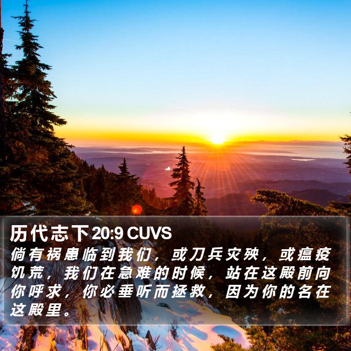 历 代 志 下 20:9 CUVS Bible Study