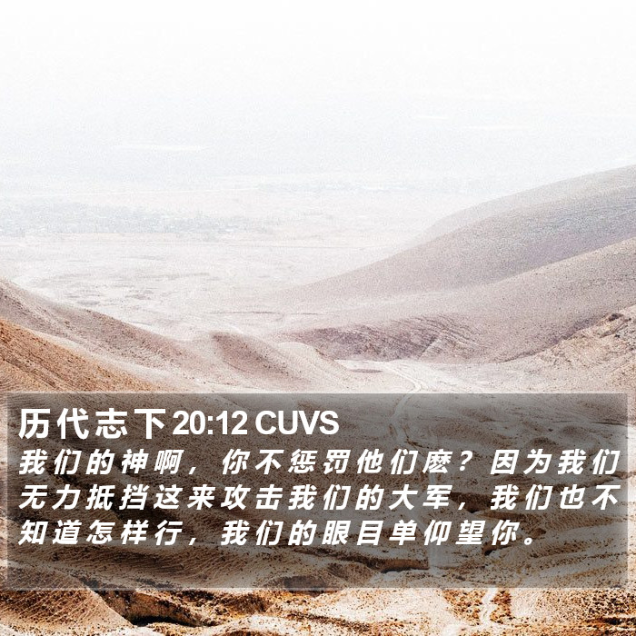 历 代 志 下 20:12 CUVS Bible Study