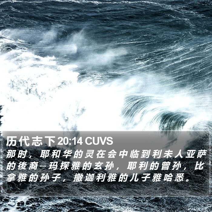 历 代 志 下 20:14 CUVS Bible Study