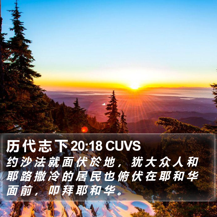 历 代 志 下 20:18 CUVS Bible Study