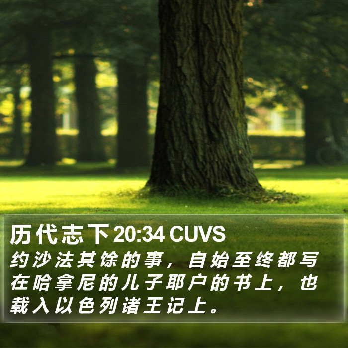 历 代 志 下 20:34 CUVS Bible Study