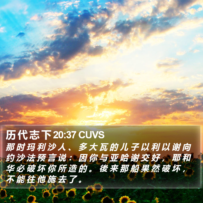 历 代 志 下 20:37 CUVS Bible Study