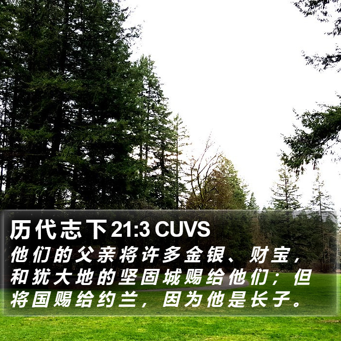 历 代 志 下 21:3 CUVS Bible Study